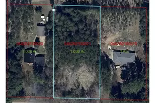Pine Mead Ave, Shawano, WI 54166 - Photo 1