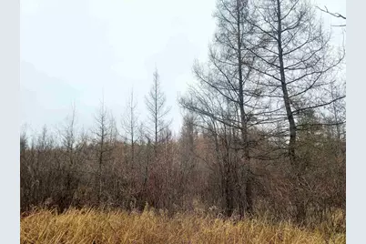 N18104 Perch Lake Road, Pembine, WI 54156 - Photo 25