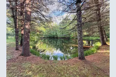 10360 Big Eddie Lane, Suring, WI 54174 - Photo 29