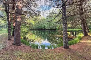 10360 Big Eddie Ln, Suring, WI 54174 - Photo 29