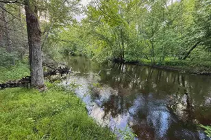 10360 Big Eddie Ln, Suring, WI 54174 - Photo 37