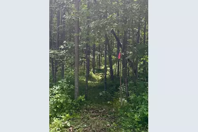 16791 Little Pickerel Lane, Townsend, WI 54175 - Photo 23