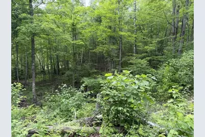 17021 N Wapota Drive, Townsend, WI 54175 - Photo 13