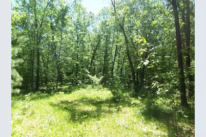 Ann Court, Shawano, WI 54166 - Photo 3