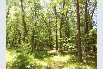 Ann Court, Shawano, WI 54166 - Photo 5