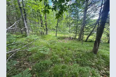 Blue Heron Lane, Athelstane, WI 54104 - Photo 13