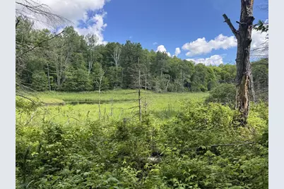 Blue Heron Lane, Athelstane, WI 54104 - Photo 23