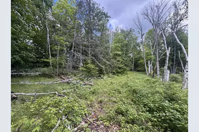Blue Heron Lane, Athelstane, WI 54104 - Photo 19