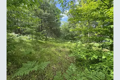 Blue Heron Lane, Athelstane, WI 54104 - Photo 15