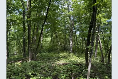 35537 Log House Lane, Prairie Du Chien, WI 53821 - Photo 27