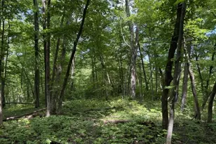 35537 Log House Ln, Prairie Du Chien, WI 53821 - Photo 27