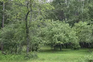 N13881 Northway Dr, Amberg, WI 54102 - Photo 11