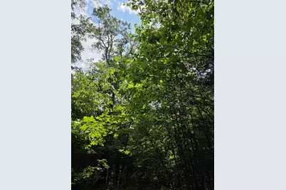 Tower Road, Athelstane, WI 54104 - Photo 11