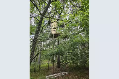 Tower Road, Athelstane, WI 54104 - Photo 25