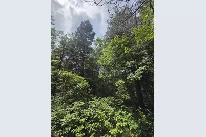 Tower Road, Athelstane, WI 54104 - Photo 13