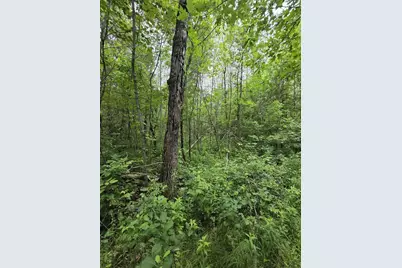 Tower Road, Athelstane, WI 54104 - Photo 17