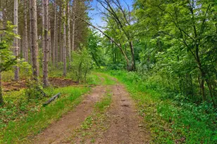 N1032 County Rd EE, Redgranite, WI 54970 - Photo 41