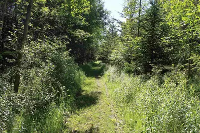 4437 Pine Grove Road, Denmark, WI 54208 - Photo 43