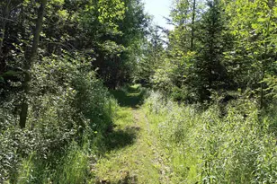 4437 Pine Grove Rd, Denmark, WI 54208 - Photo 43
