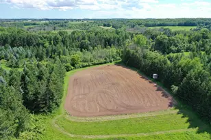 4437 Pine Grove Rd, Denmark, WI 54208 - Photo 7