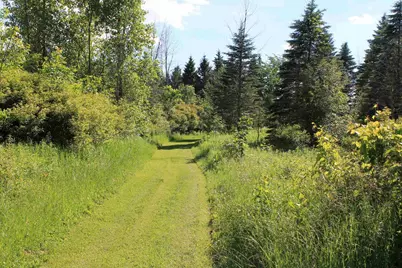 4437 Pine Grove Road, Denmark, WI 54208 - Photo 53