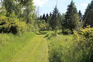 4437 Pine Grove Rd, Denmark, WI 54208 - Photo 53