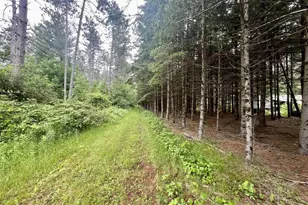 W8801 Moonshine Hill Rd, Crivitz, WI 54114 - Photo 7