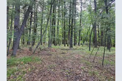 N3940 Forest Drive, Hancock, WI 54943 - Photo 29