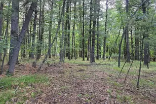 N3940 Forest Dr, Hancock, WI 54943 - Photo 29