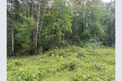 W1561 Hawks Nest Trail, Keshena, WI 54135 - Photo 5