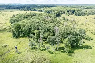 N4003 Marsh Rd, New London, WI 54961 - Photo 85