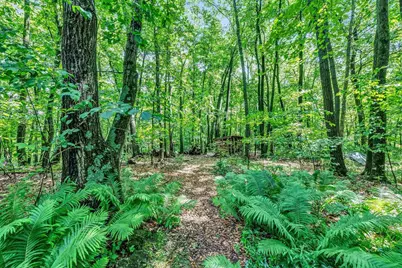 N2146 Fox Ridge Lane, New London, WI 54961 - Photo 5