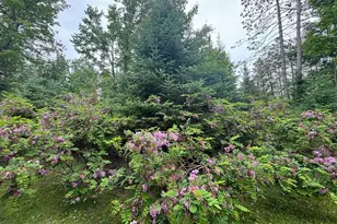 13344 State Hwy 32 64, Mountain, WI 54149 - Photo 29