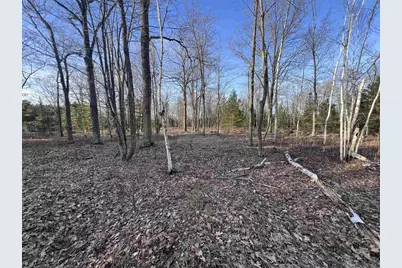 Nejedlo Road, Wausaukee, WI 54177 - Photo 1