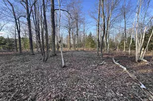 Nejedlo Rd, Wausaukee, WI 54177 - Photo 1