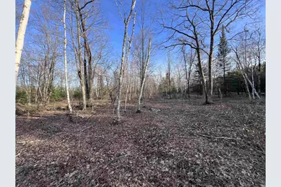Nejedlo Road, Wausaukee, WI 54177 - Photo 3