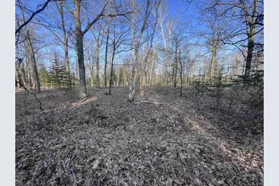 Nejedlo Road, Wausaukee, WI 54177 - Photo 3