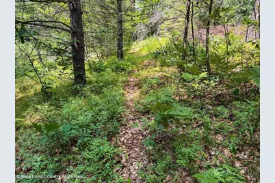 E Bass Lake Road, Townsend, WI 54175 - Photo 21
