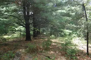 N1771 County Rd EE, Redgranite, WI 54970 - Photo 23