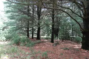 N1771 County Rd EE, Redgranite, WI 54970 - Photo 21