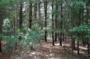 N1771 County Rd EE, Redgranite, WI 54970 - Photo 27