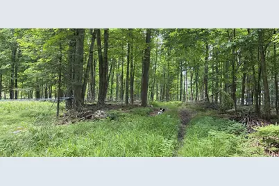 Springbrook Road, Edgerton, WI 54486 - Photo 43