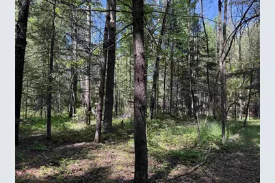 Peterson Road, Wausaukee, WI 54177 - Photo 13