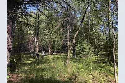 Peterson Road, Wausaukee, WI 54177 - Photo 11