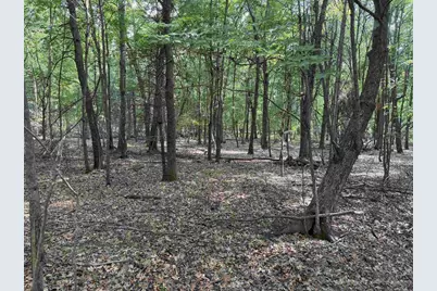 Cypress Avenue, Wautoma, WI 54982 - Photo 15
