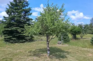 N13841 Mathis Rd, Athelstane, WI 54104 - Photo 35