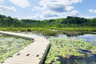 996 Lakeside St, White Lake, WI 54491 - Photo 77