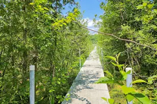 996 Lakeside St, White Lake, WI 54491 - Photo 73