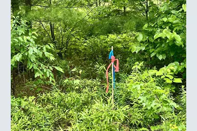 W8801 Moonshine Hill Road, Crivitz, WI 54114 - Photo 39