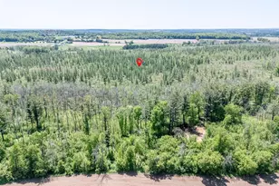 E5097 State Road 54, Weyauwega, WI 54983 - Photo 49